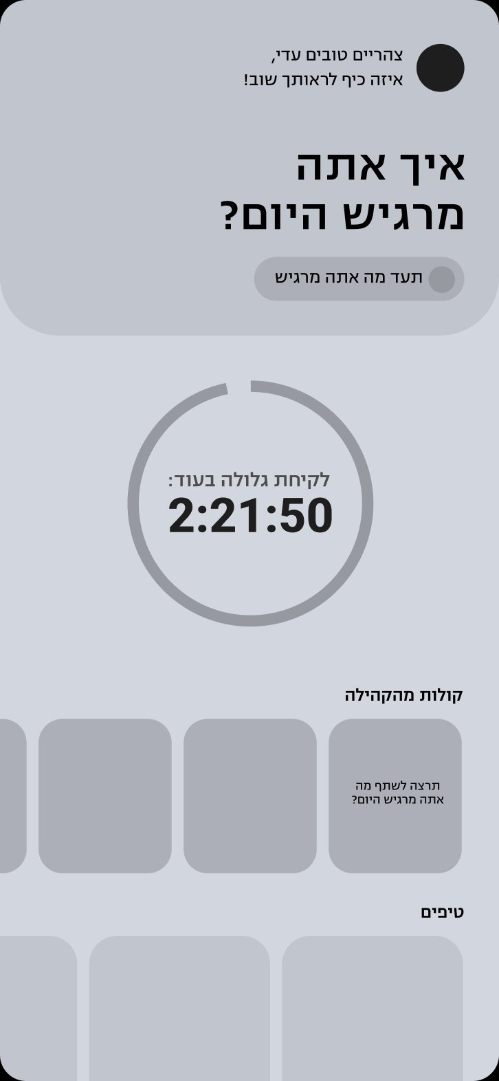 Home screen wireframe